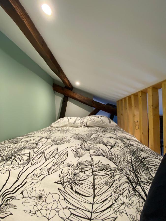 Appartement Le Donjon : Centre Historique